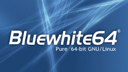 USB Flash Drive Bluewhite64 linux, Bluewhite64 linux on a flashdrive