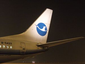 Xiamen Airlines 737 empennage logo