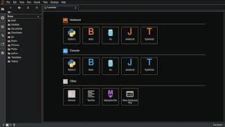 JupyterLab with multiple kernels for code development.