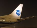 Xiamen Airlines 737 empennage logo