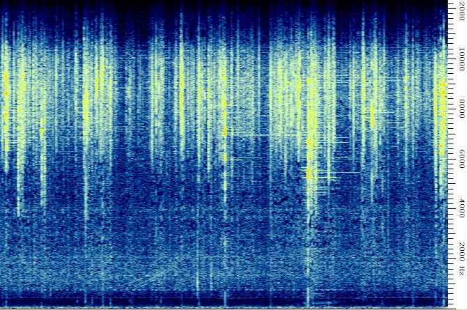 vlf dynamic spectrum display